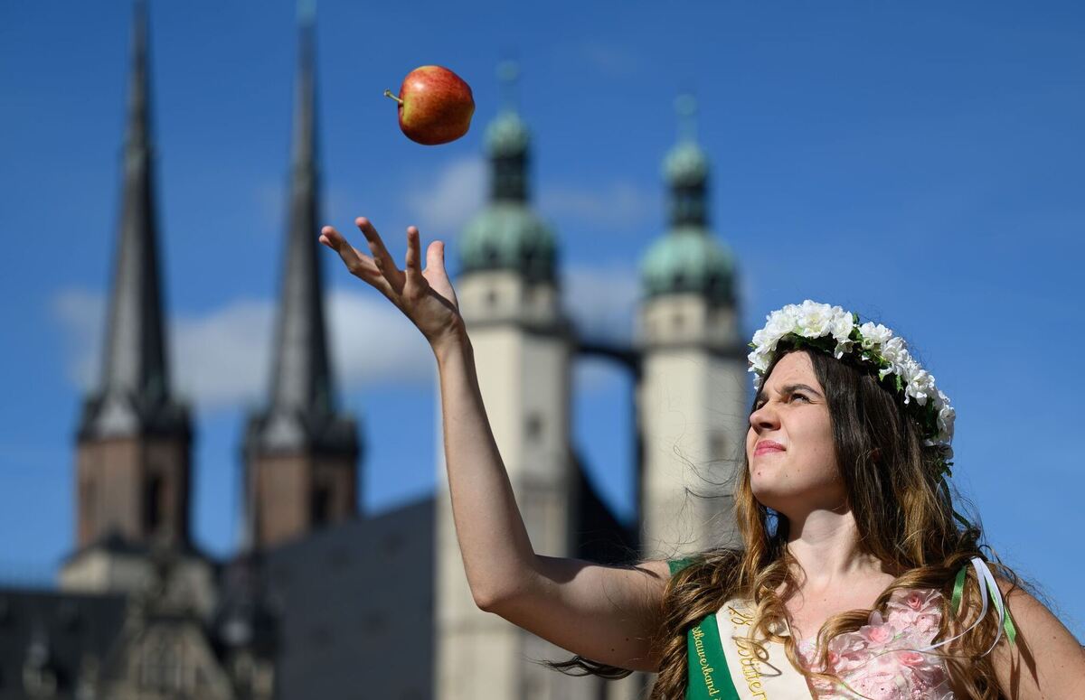 Sachsen-Anhalt startet in die Apfelsaison Sachsen-Anhalt startet in die Apfelsaison