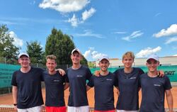 Die Herren 2 des TC Metzingen steigen in die Bezirksoberliga auf. Von links: Tim Loidl, Simon Schietinger, Luca Schäffler, Raffa