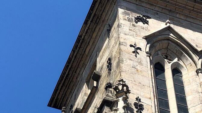 Ist Ihnen schon mal aufgefallen, dass an einem der beiden kleinen Türme der Marienkirche Tiere hängen? Eine Fledermaus, eine Sch
