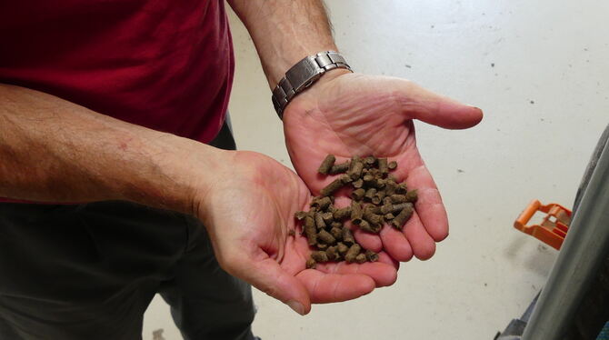 Schafwolle Mit den Düngerpellets aus Schafwolle müssen Pflanzen nur einmal im Jahr gedüngt werden. Alexander Bosch gibt der Schafwolle mit