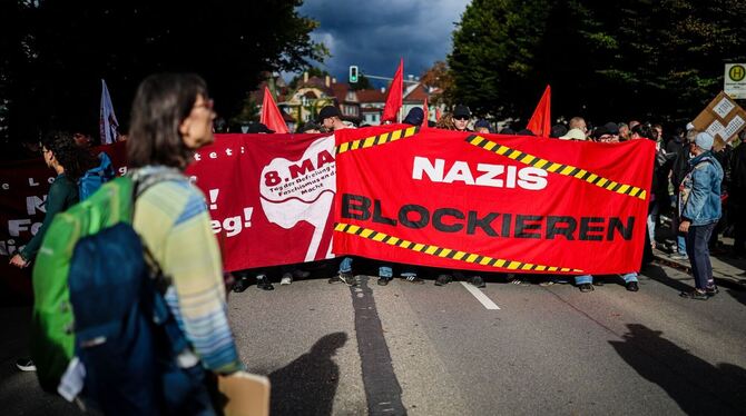 Streitgespräch zwischen Palmer und Frohnmaier - Demo