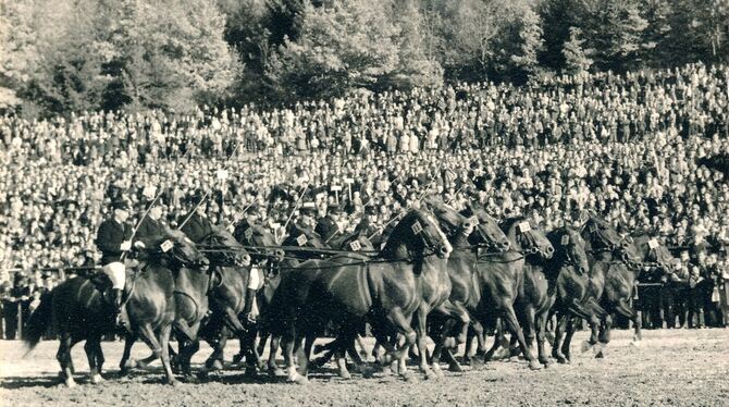 Volle Zuschauerränge: Hengstparade am Dolderbach im Jahr 1964.  FOTOS: ARCHIV GESTÜT