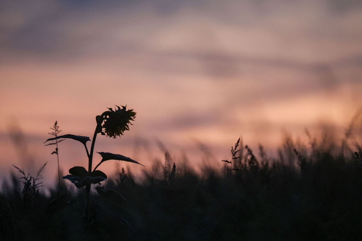 Wetter in Baden-Württemberg Wetter in Baden-Württemberg