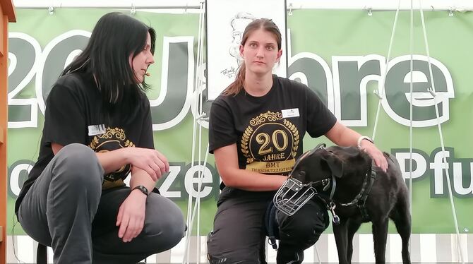 Ein Sorgenkind der Bmt-Mitarbeiterinnen um Tierheimleiterin Anja Zeller (links): Die zehnjährige Mischlingshündin Britta sucht s Ein Sorgenkind der Bmt-Mitarbeiterinnen um Tierheimleiterin Anja Zeller (links): Die zehnjährige Mischlingshündin Britta sucht s