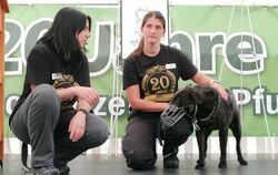 Ein Sorgenkind der Bmt-Mitarbeiterinnen um Tierheimleiterin Anja Zeller (links): Die zehnjährige Mischlingshündin Britta sucht s