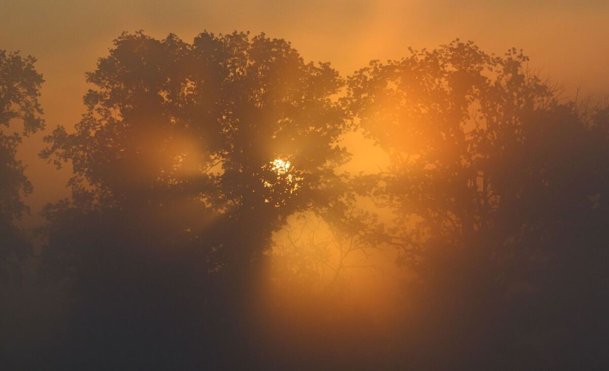 Morgens in Brandenburg