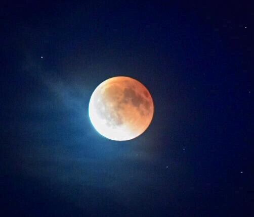 Trochtelfingen Heike