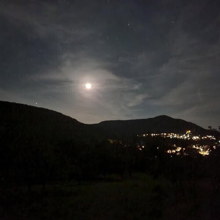 Buchhalde Dettingen1