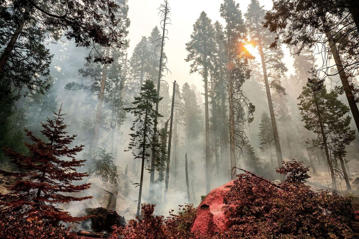 Kalifornien Waldbrände Kalifornien Waldbrände