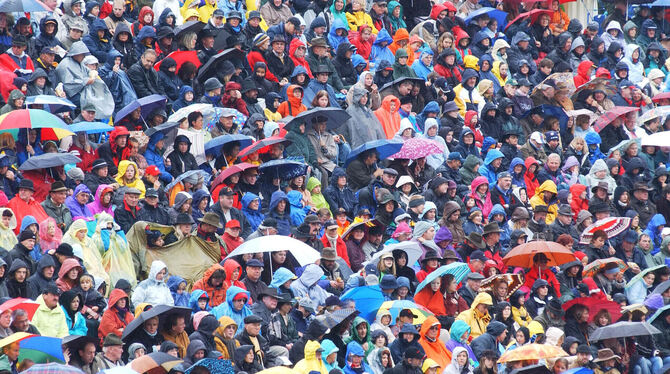 Typisches Hengstparadenbild ohne Pferde: Schirm-Meer 2004.  FOTO: MEYER