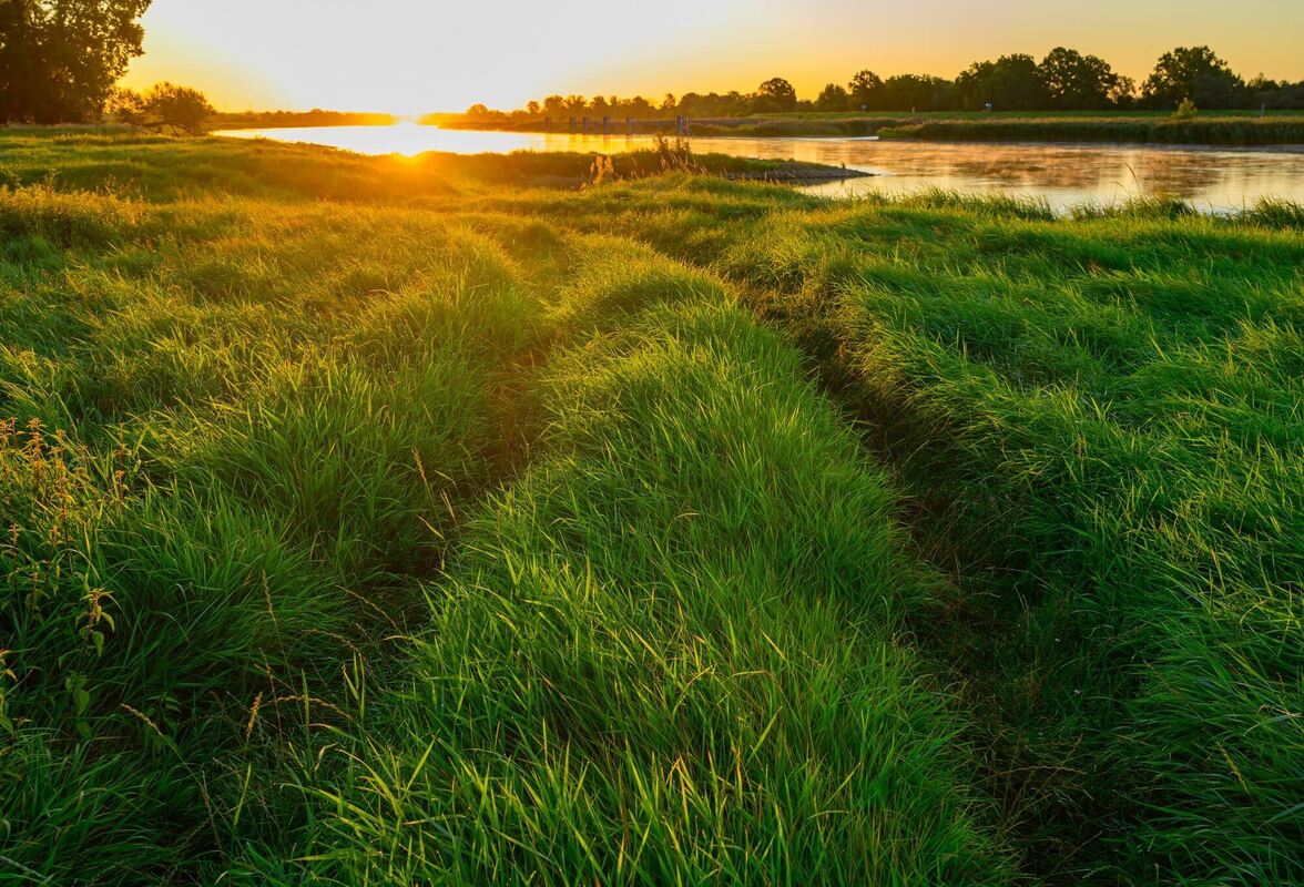 Sonnenaufgang am Fluss Oder Sonnenaufgang am Fluss Oder