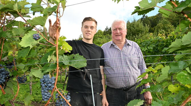 Emil Reicherter mit Enkel Luca zwischen den Eninger Weinstöcken. FOTO: SAUTTER Emil Reicherter mit Enkel Luca zwischen den Eninger Weinstöcken. FOTO: SAUTTER