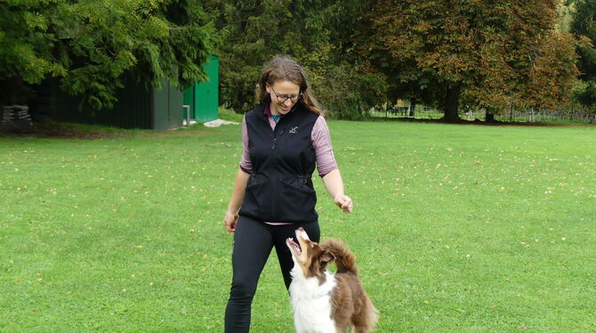 Turnierhundesport Was einfach aussieht, erfordert viel Training: Bei der Disziplin Unterordnung geht es darum, dass der Hund auf die Anweisungen v