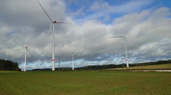Die vier Anlagen links und rechts der L 230 gehen nach und nach ans Netz.  FOTOS: WURSTER