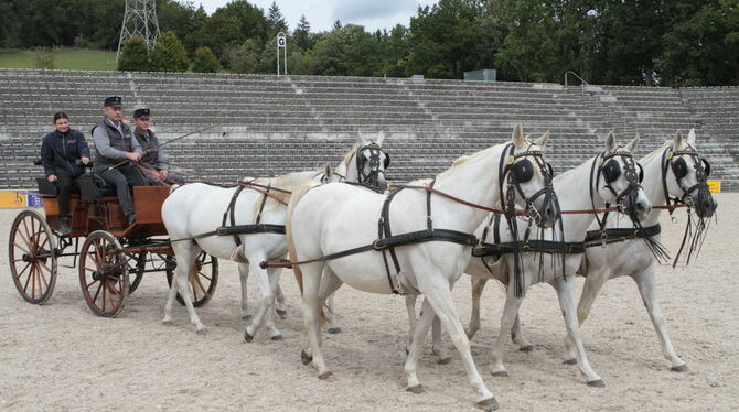 Die Proben laufen: Auch ein Fünfspänner in ungarischer Anspannung wird dabei sein.