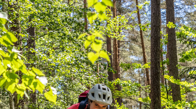 MTB-Konzeption Solche Trails gibt's auch in und um Bad Urach massenweise. Nach dem baden-württembergischen Waldgesetz dürfen Mountainbiker hier