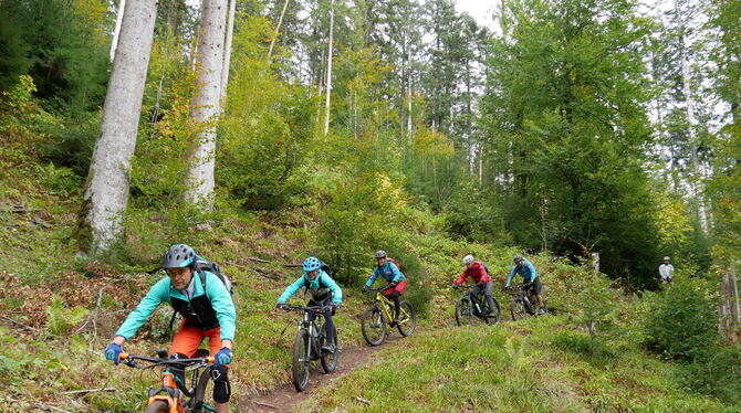 MTB-trail2 Ein solches Bild – es ist in Baiersbronn entstanden – wäre in Bad Urach derzeit nicht möglich, zumindest nicht unter legalen Bed