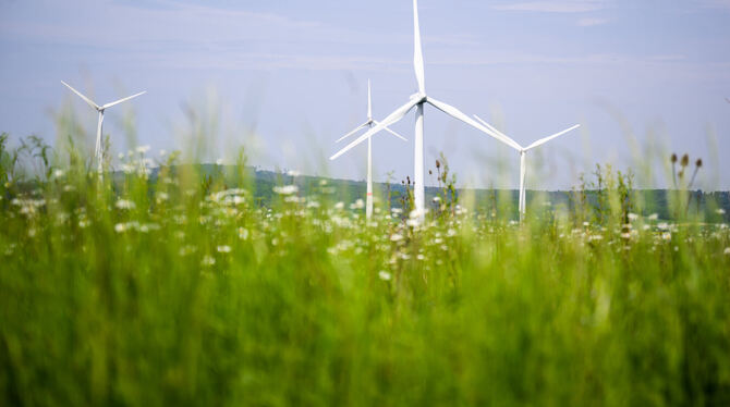 Auch auf der Alb werden sich künftig mehr Windräder drehen, unter anderem auf Hohensteiner Gemarkung.