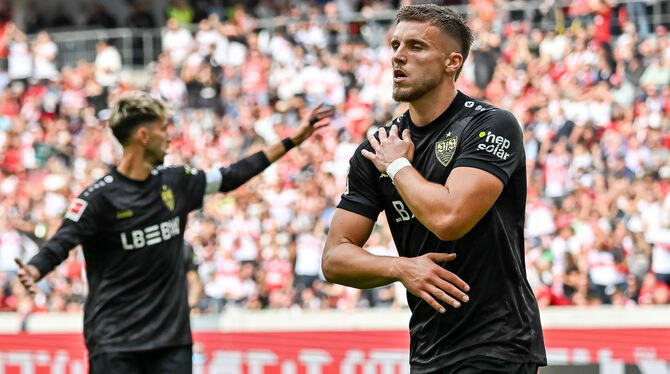 Trägt viel Last auf seinen Schultern: VfB-Angreifer Ermedin Demirovic.