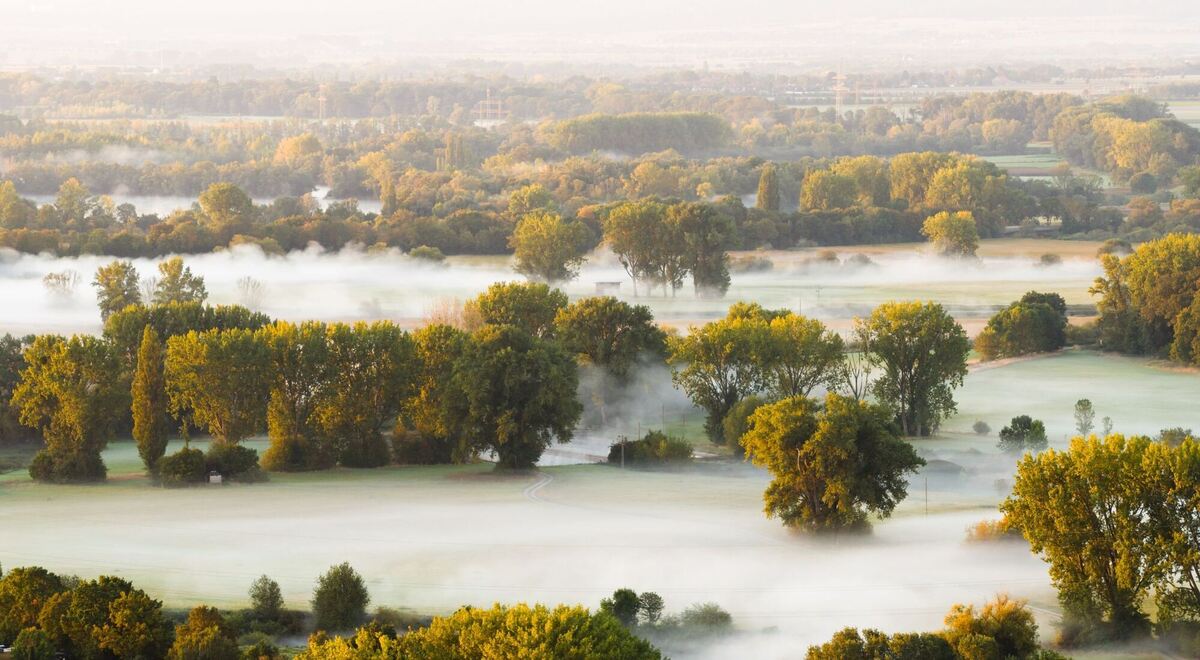 Herbst in Niedersachsen