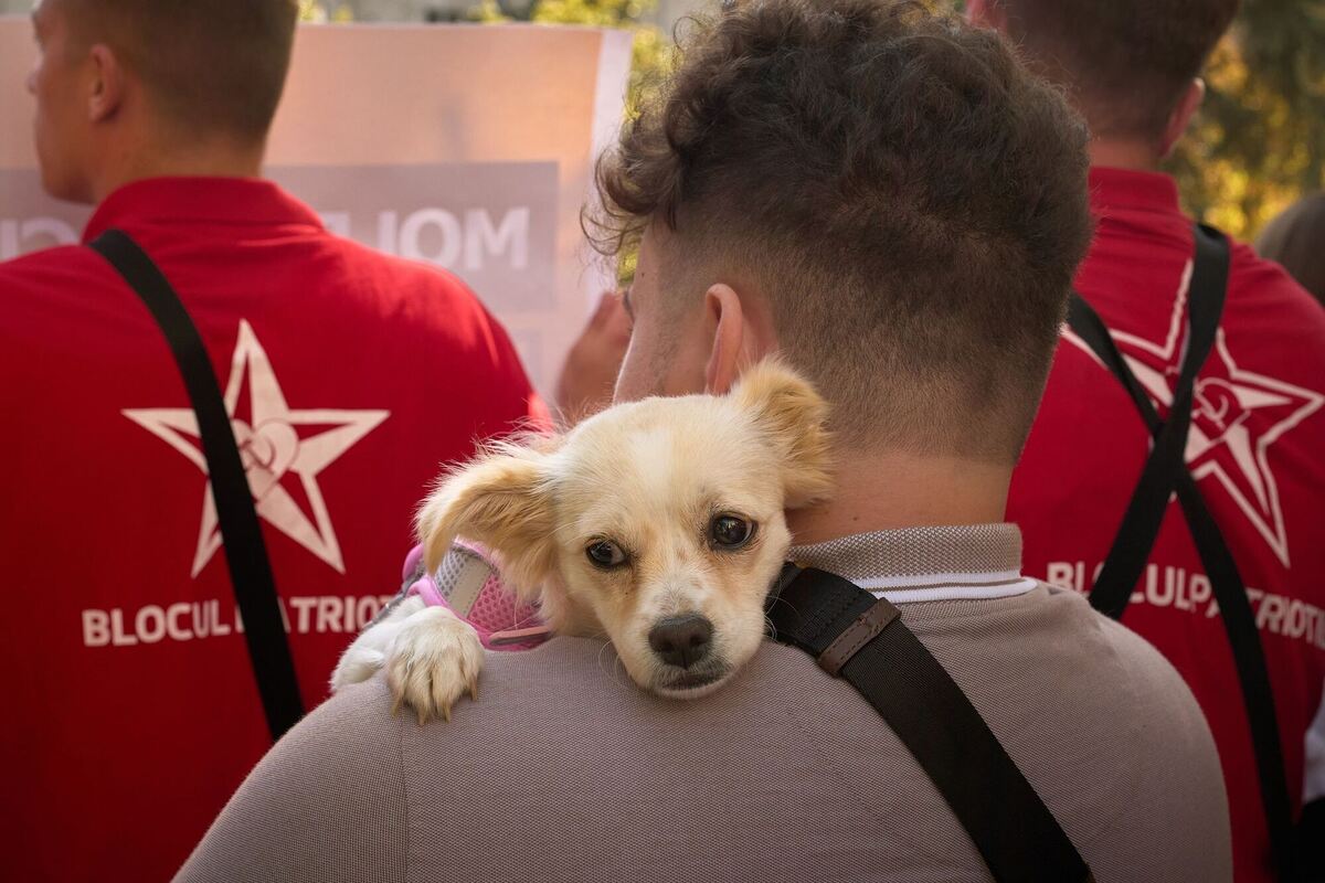 Vor den Parlamentswahlen in Moldau Vor den Parlamentswahlen in Moldau
