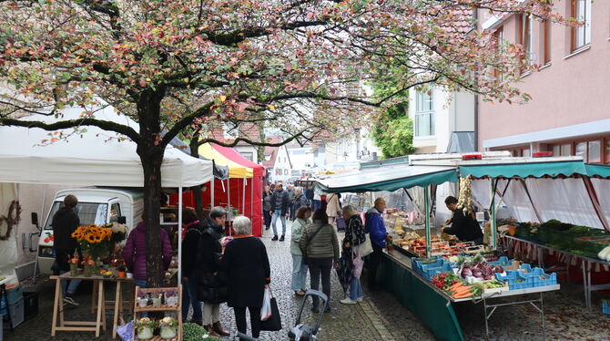 Wochenmarkt, Markt, Eningen, Gemeinde, Versorgung, Marktbeschicker, Regional, Essen Der Eninger Wochenmarkt wird gut angenommen: Selbst an regnerischen Tagen bleibt die Kundschaft nicht aus.