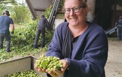 Mit der Qualität des Hopfens ist Katharina Haizmann sehr zufrieden.  FOTO: STRAUB