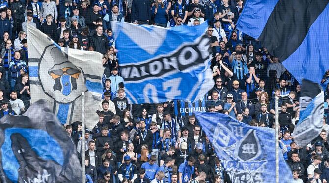 SV Waldhof Mannheim SV Waldhof Mannheim