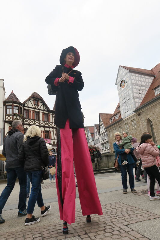 dame-melba_ina-z_kulturnacht-rt_marktiplatz_f_armin-knauer