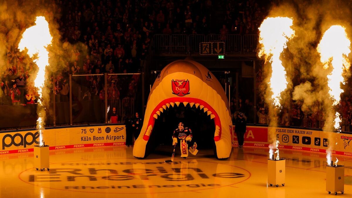 Kölner Haie - Grizzlys Wolfsburg Kölner Haie - Grizzlys Wolfsburg