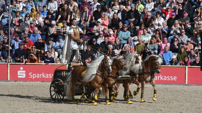 Ben Hur konnte es nicht besser: Streitwagen-Kamikaze Claus Luber.