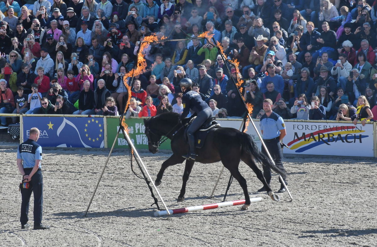 Marbach 28 0 2025 FOTOS JÜRGEN MEYER_06