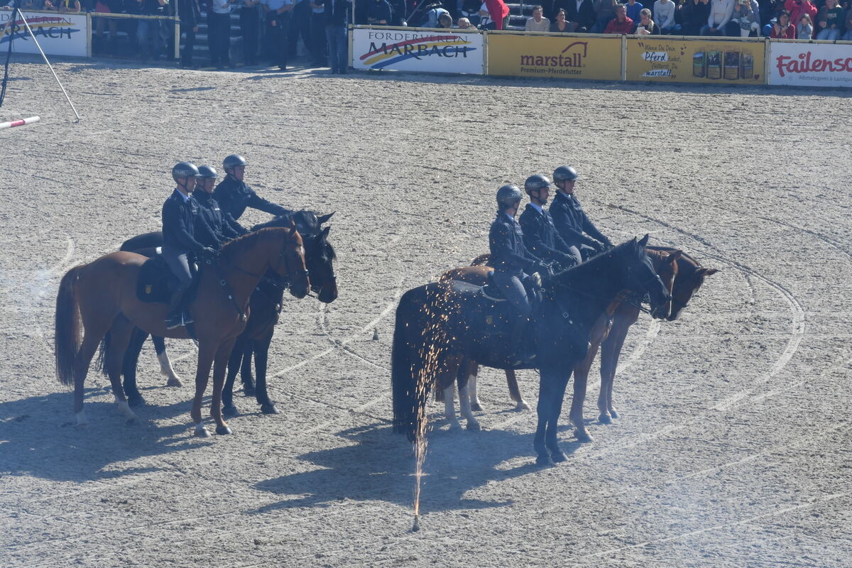 Marbach 28 0 2025 FOTOS JÜRGEN MEYER_01