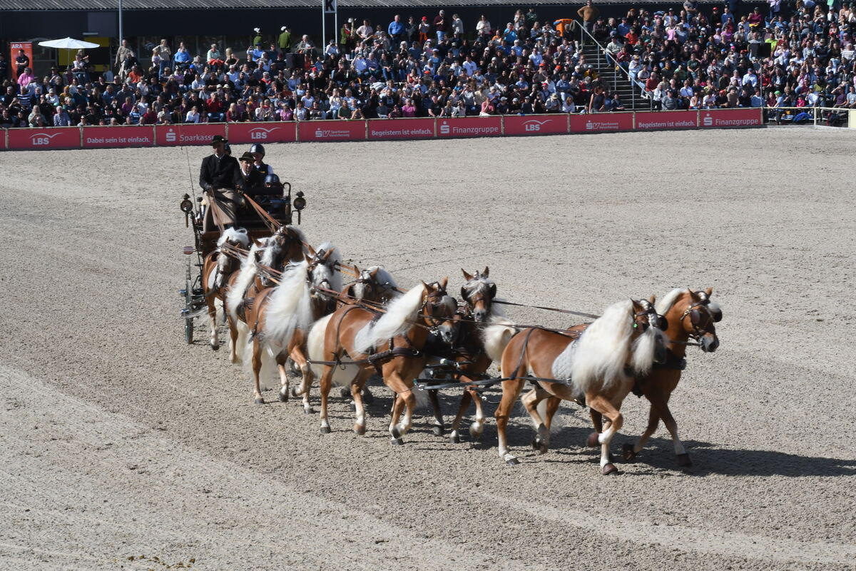 Marbach 28 0 2025 FOTOS JÜRGEN MEYER_33