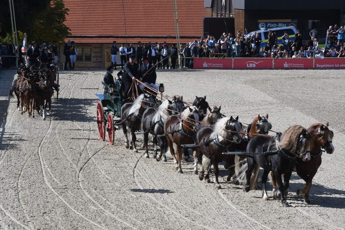 Marbach 28 0 2025 FOTOS JÜRGEN MEYER_34