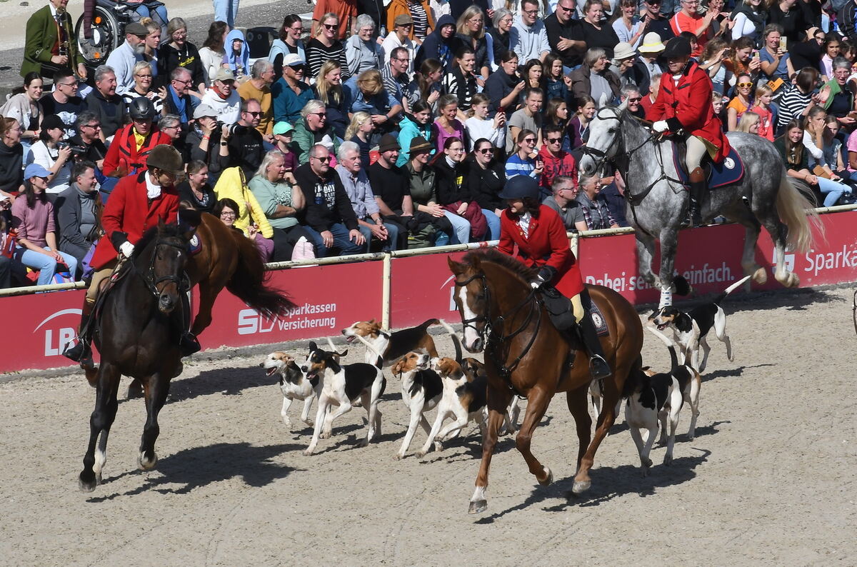 Marbach 28 0 2025 FOTOS JÜRGEN MEYER_16