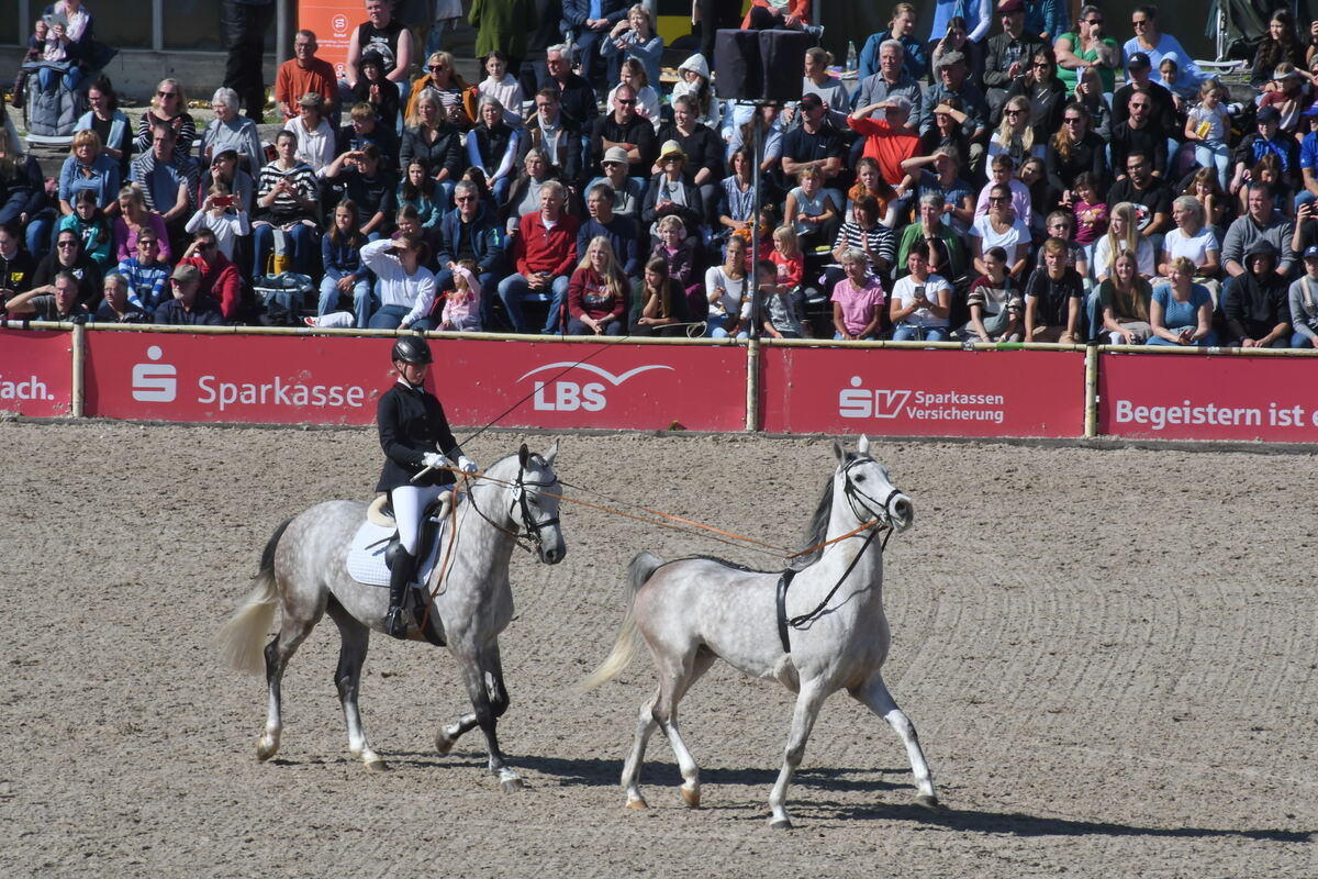 Marbach 28 0 2025 FOTOS JÜRGEN MEYER_17