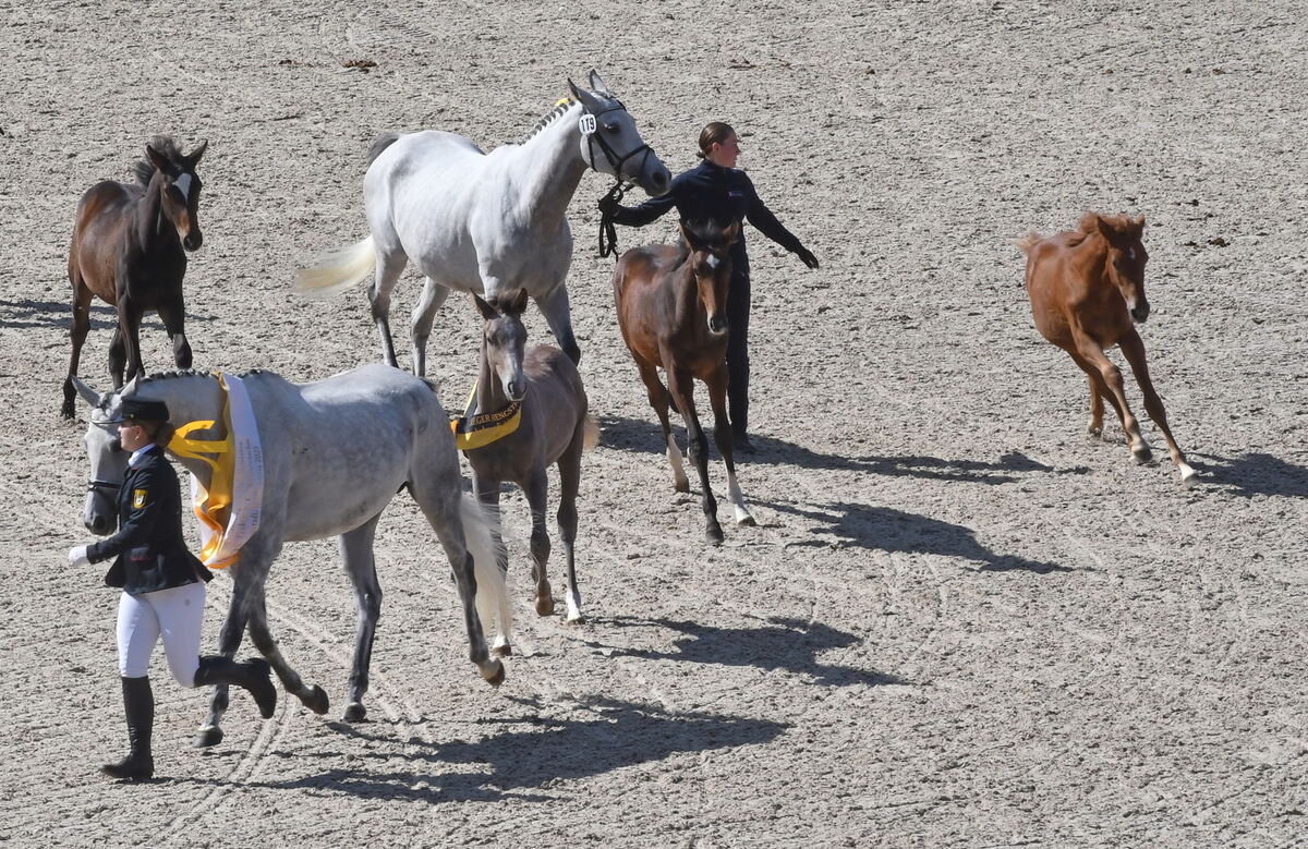 Marbach 28 0 2025 FOTOS JÜRGEN MEYER_18
