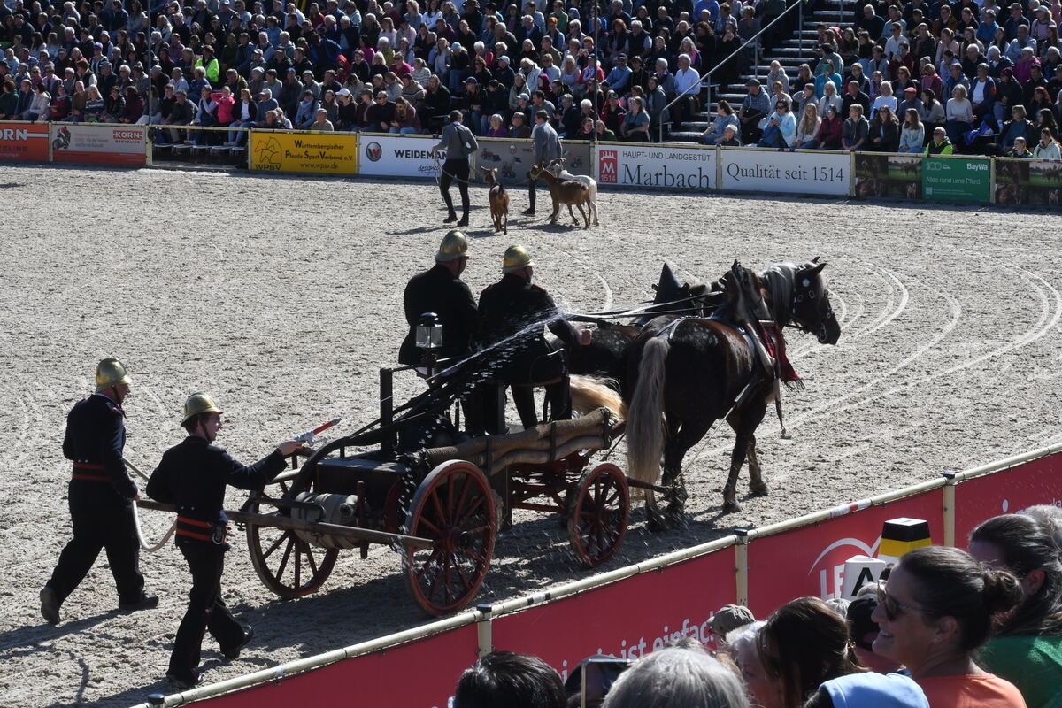 Marbach 28 0 2025 FOTOS JÜRGEN MEYER_19