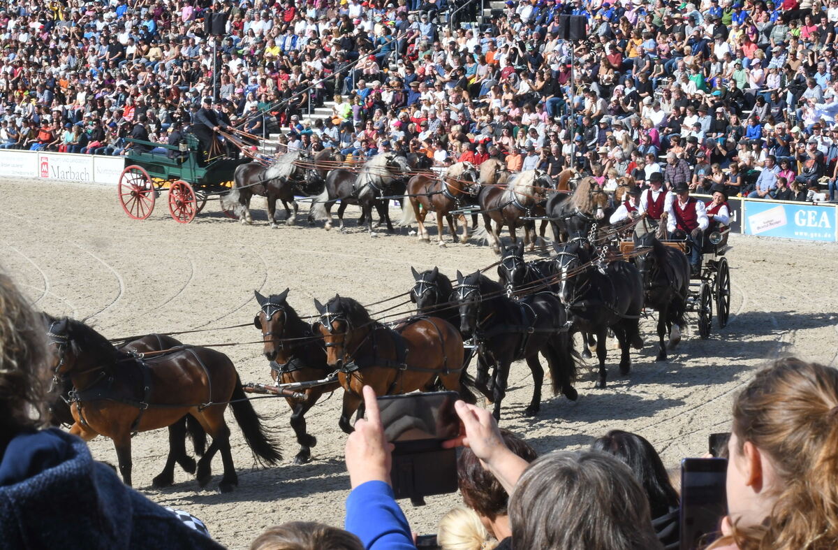 Marbach 28 0 2025 FOTOS JÜRGEN MEYER_23