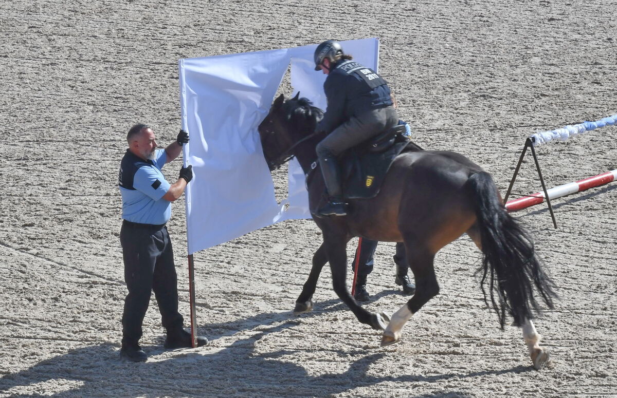 Marbach 28 0 2025 FOTOS JÜRGEN MEYER_07