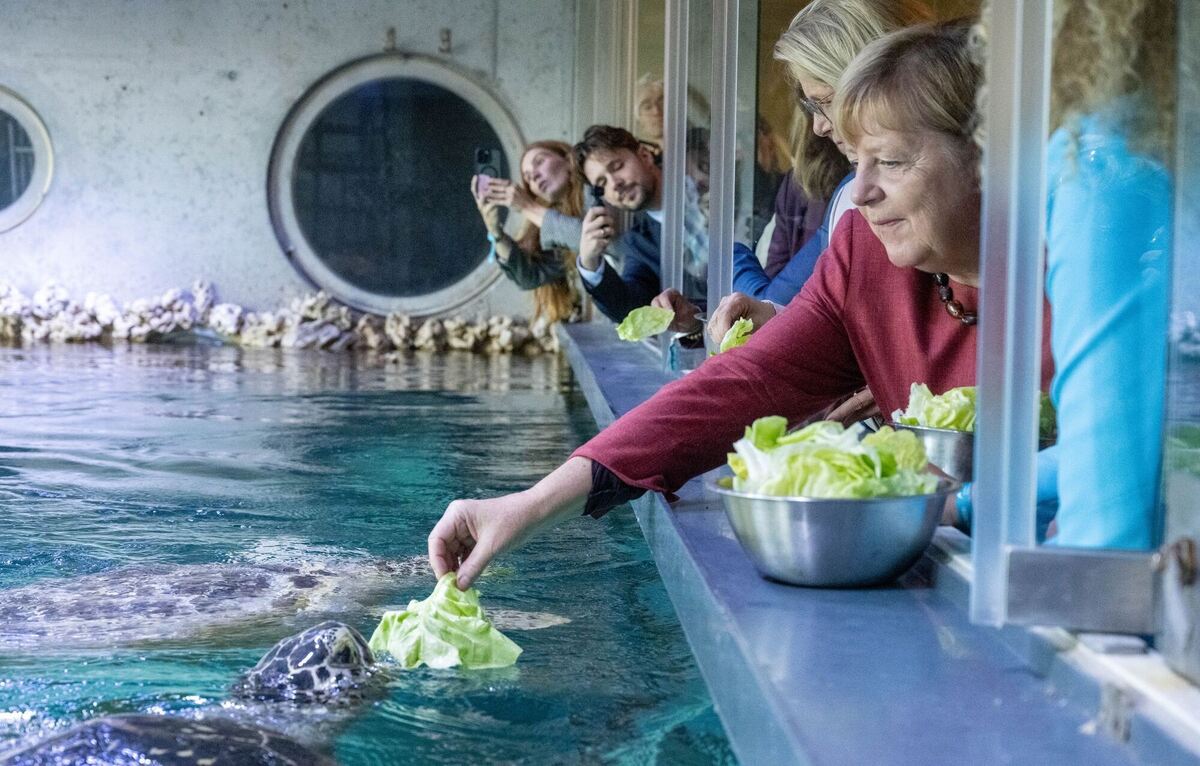 Angela Merkel in Stralsund