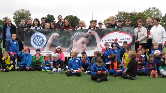 SV Walddorf präsentiert Konzept zum Kinder- und Jugendschutz Mit einem neuen Konzept will der SV Walddorf ein sicheres Umfeld für Kinder und Jugendliche schaffen.