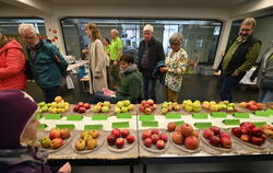 Hingucker wohl auch beim diesjährigen Mössinger Aktionstag: Die Apfel- und Obstsortenausstellung auf dem Pausa-Gelände. Archivfo