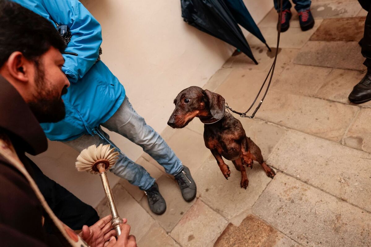 Tiersegnung am Welttierschutztag