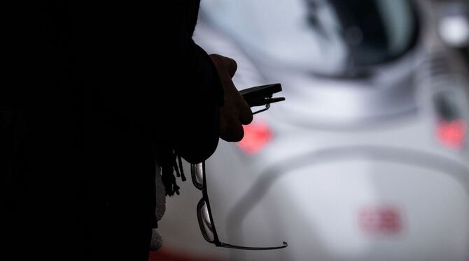 Verspätungen wegen Schäden an der Oberleitung Verspätungen wegen Schäden an der Oberleitung