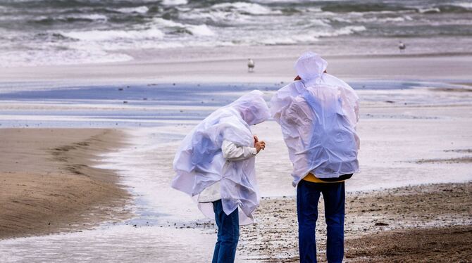 Herbststurm Herbststurm