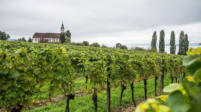 Wetter in Baden-Württemberg Wetter in Baden-Württemberg