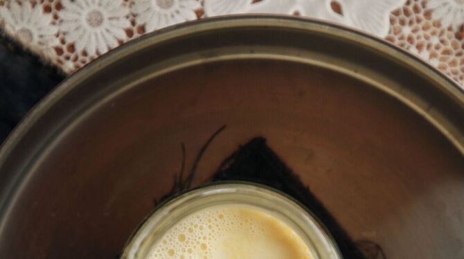 Forscher stellen Joghurt mit Hilfe von Ameisen her Forscher stellen Joghurt mit Hilfe von Ameisen her