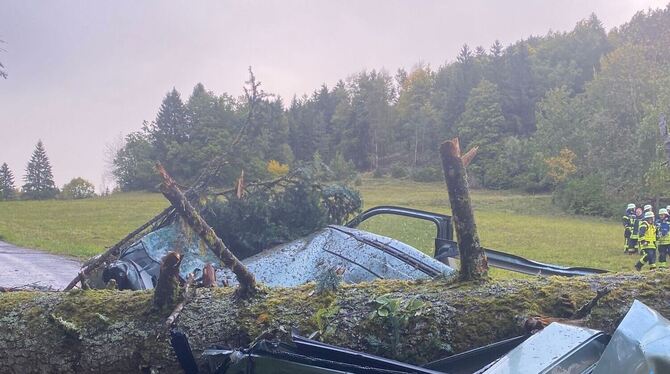Unwetter - Baum stürzt auf Kleinbus